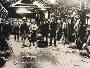 A Girl of the Bush 1921 Shearing Shed